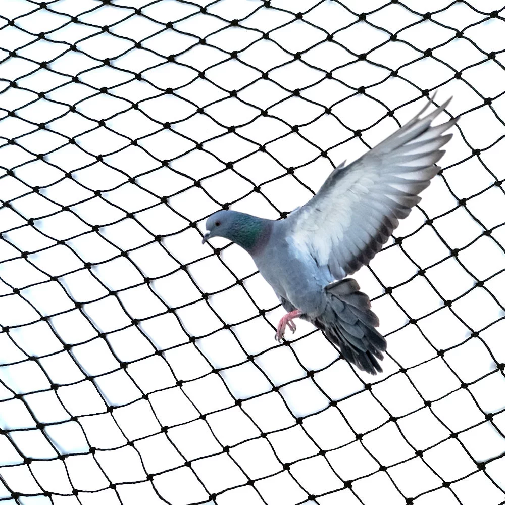 鳥の網